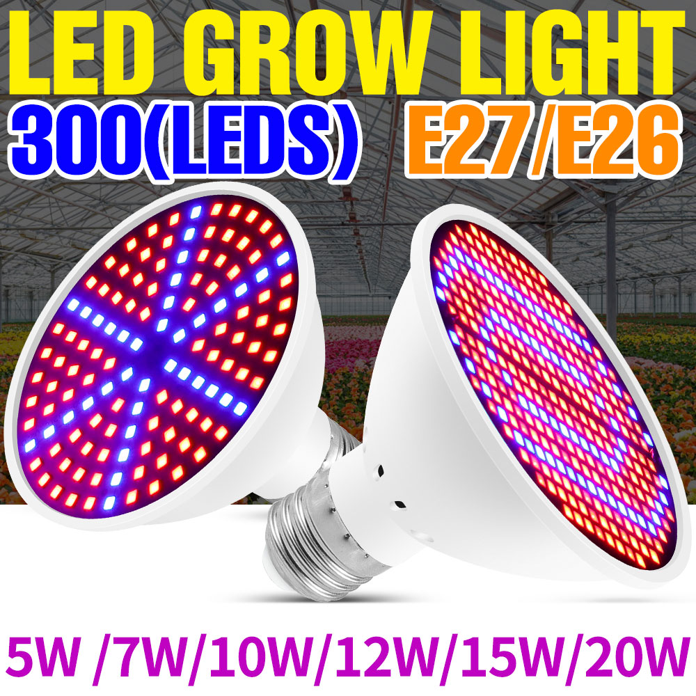 25W E27 Full Spectrum LED Plan - đánh giá và giá Echeveria Succulent