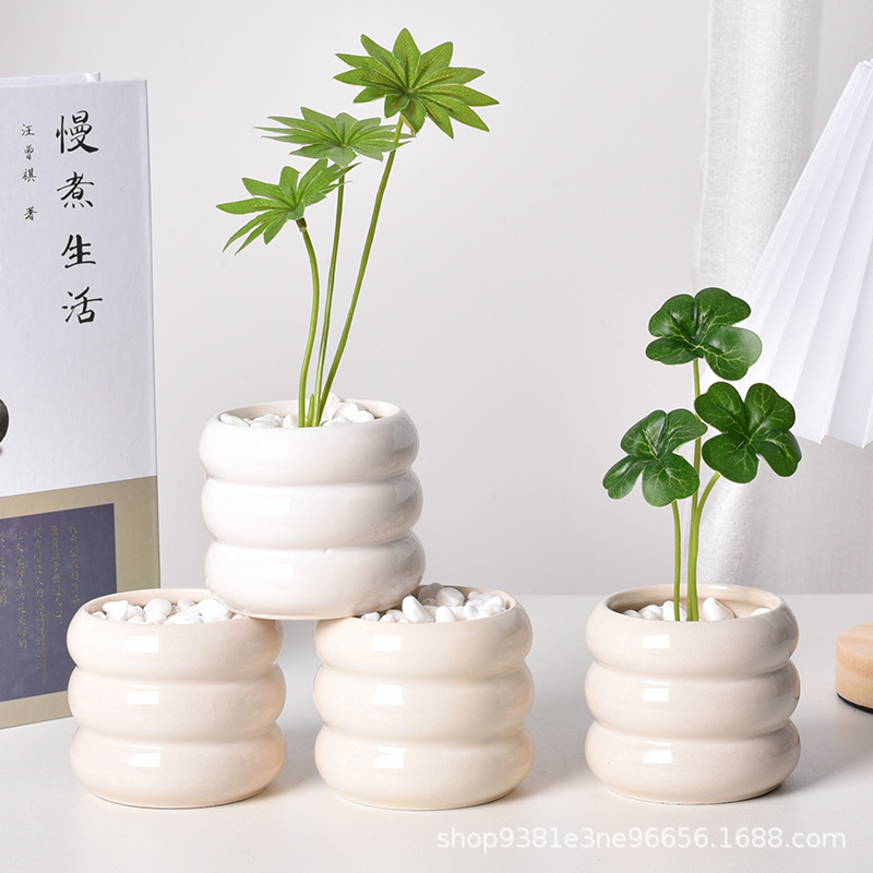 Ceramic Self-Watering Succulen - đánh giá và giá Echeveria Succulent