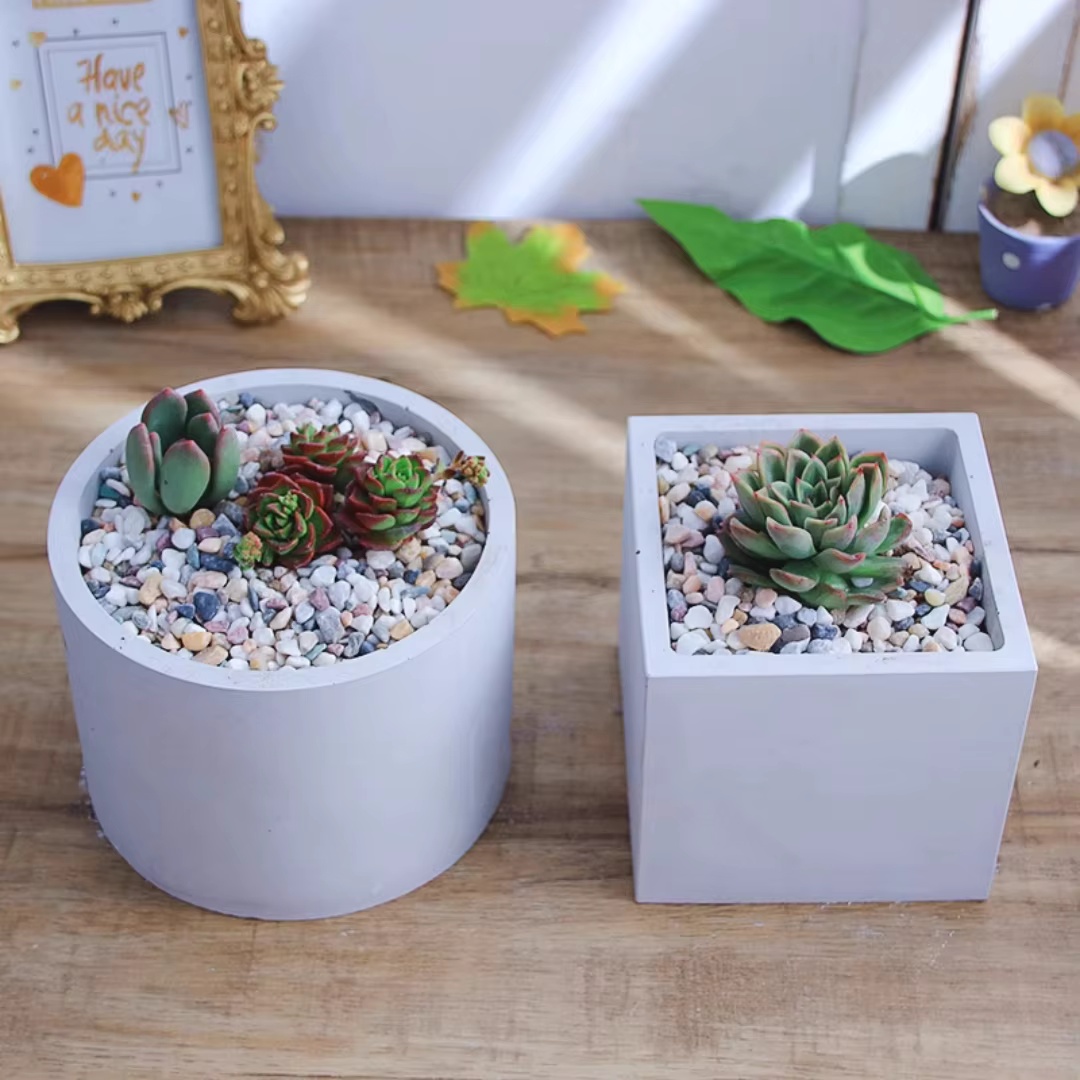 15cm Large Size Round Concrete - đánh giá và giá Echeveria Succulent
