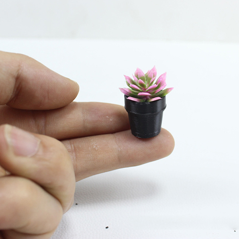 8Pcs Miniature Plastic Potted  - đánh giá và giá Echeveria Succulent
